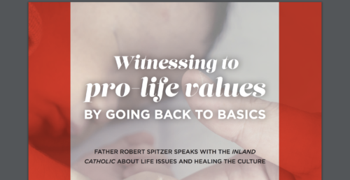 Webinar and interview from Fr. Spitzer on Healing the Culture website